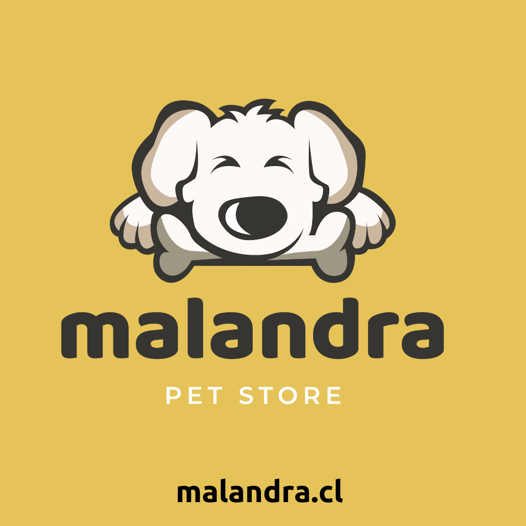 malandra Nissi mascotas